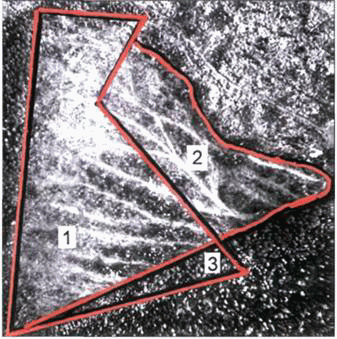 iz-kosmosa-lesa-vidny-luchshe