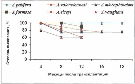 korallovye-rify-vetnama