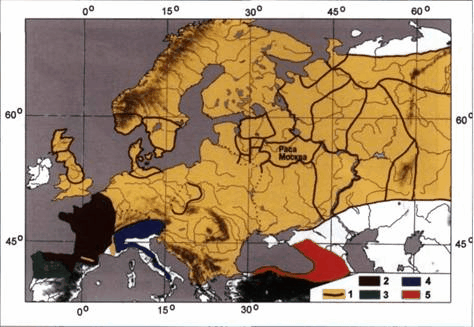 pervaya-model-fileticheskoj-evolucii