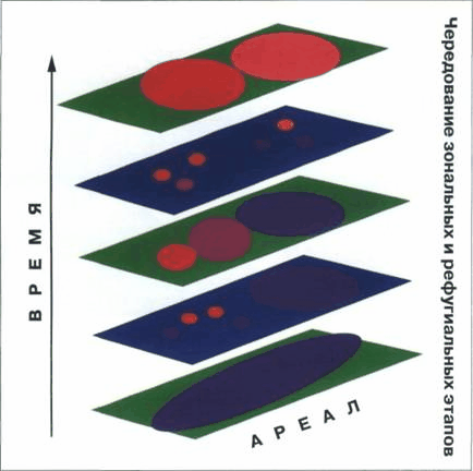 pervaya-model-fileticheskoj-evolucii